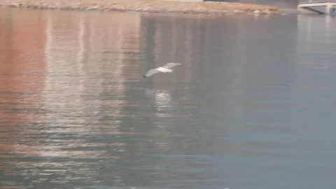 Lake Baikal 9 Stock Footage 87018937