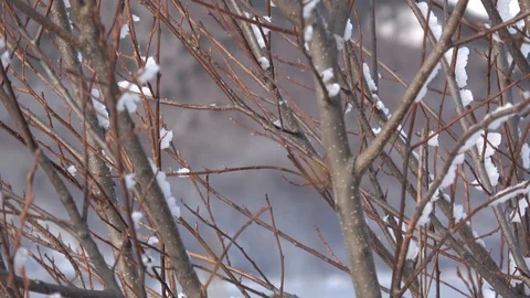 Lake Baikal in December Stock Footage 105648629