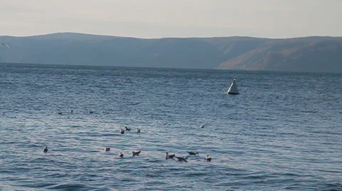 Lake Baikal Stock-Footage 32254284