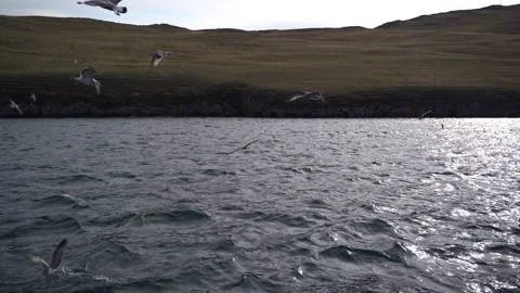 Lake Baikal Stock Footage 131284908