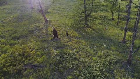 Lake Baikal. mountains. clouds. bear 18 Stock Footage 104402736