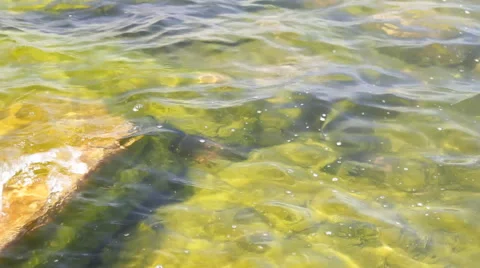 Lake Baikal, water, rocks, stones Stock Footage 59761529