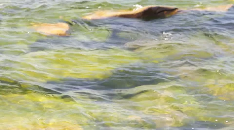 Lake Baikal, water, rocks, stones Stock Footage 59761545