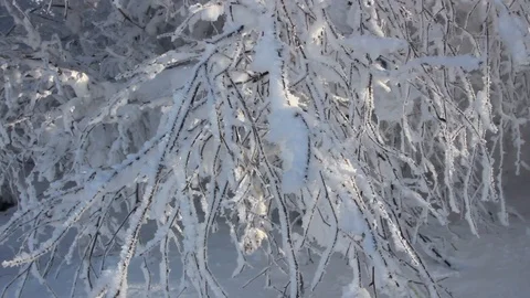 Lake Baikal in winter Stock Footage 106941610