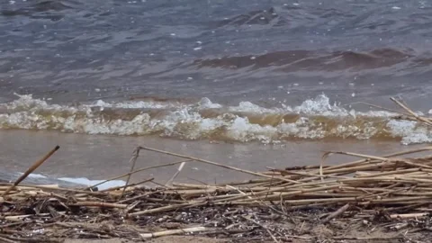 Lake Baltezers in early spring Video stock 287734798