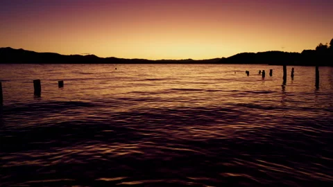 Lake Bariloche With Logs Floating Vertically During Sunrise Stock Footage 230439815