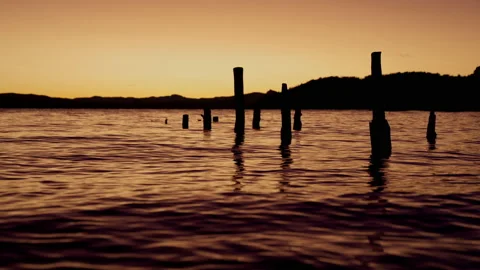 Lake Bariloche With Vertically Floating Logs During Sunrise Stock Footage 230440400