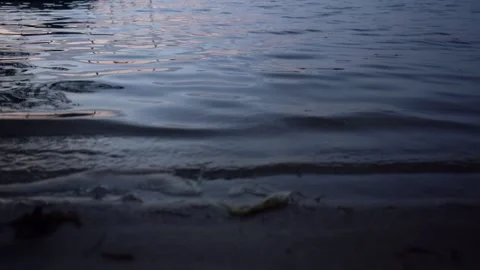 Lake Beach at Sunset Stock Footage 260765257