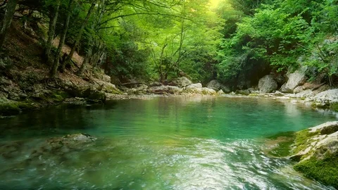 Lake into beautiful forest. 스톡 동영상 126574384
