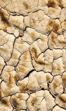 Lake bed drying up due to drought Stock Photos