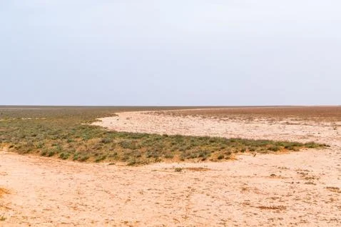 Lake bed drying up due to drought Stock Photos