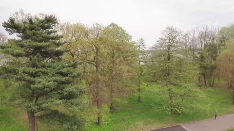 Lake Behind Trees Stock Footage 76363669