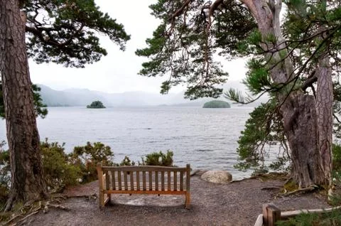 Lake with bench Stock Photos