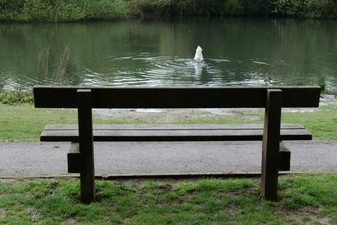 Lake bench Stock Photos