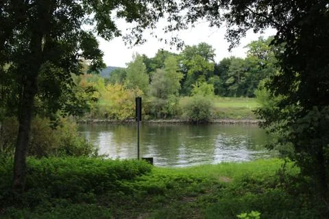 Lake between two trees Stock Photos