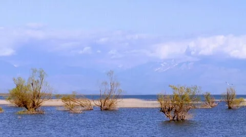 Lake with birds Stock Footage 710489