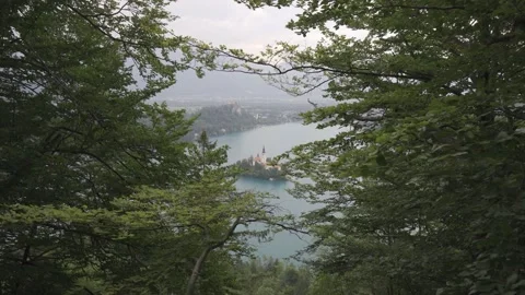 Lake Bled Viewed Through Forest Trees in Slovenia Stock Footage 159614750
