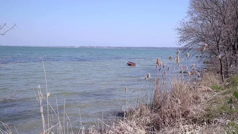 Lake with a boat and trees Stock Footage 74309743