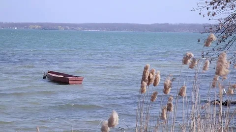 Lake with a boat and trees Stock Footage 74310484