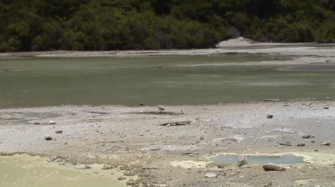 Lake boiling in geothermal area Stock Footage 4904070