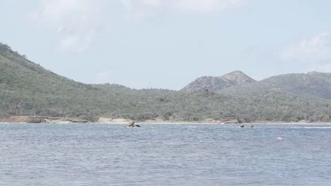 A lake on bonaire Stock Footage 80222439