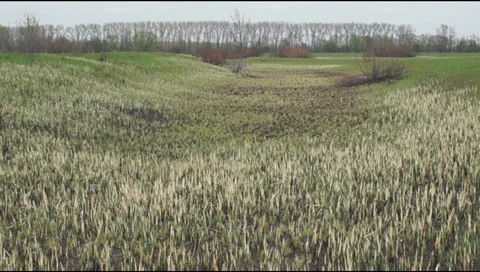 Lake bottom Stock Footage 37778947