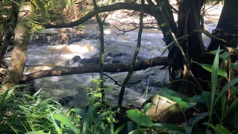 LAKE AT THE BOTTOM OF A WATERFALL 01 Stock Footage 96544800