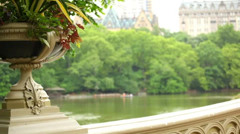 The Lake from Bow Bridge Central Park Stock-Footage 68640694
