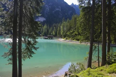 Lake Braies, lake portion between the pines, horizontally Stock-Fotos
