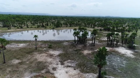 LAKE IN BRAZILIAN ECOSYSTEM Stock Footage 101474524