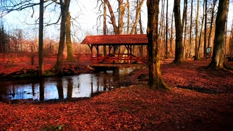 Lake with Bridge House Stock-Footage 183371846