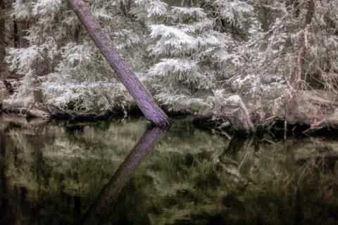 Lake Bunn Foto stock