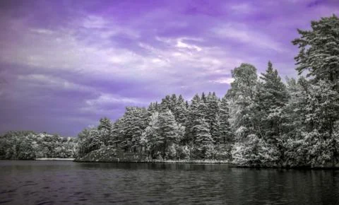 Lake Bunn Stock Photos