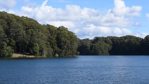 Lake in the bush 스톡 동영상 90638220