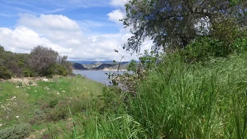 Lake Cachuma Green 库存影片 116134540