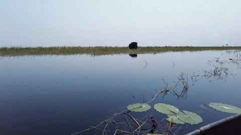 On lake, on canoe approaching elephant 2 Stock Footage 304170368