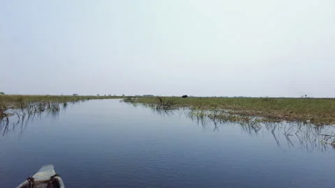 On lake, on canoe approaching elephant Stock Footage 304134667