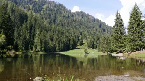 Lake of caprioli  trees view 2 Trentino Italy Stock Footage 145324560