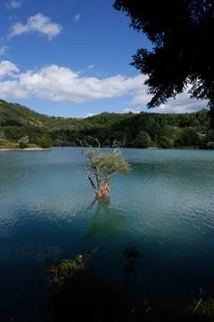 Lake Cardito Stock Photos
