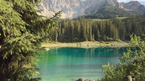 Lake Carezza Framed by Pine Branches, Dolomites Italy 스톡 동영상 339792038