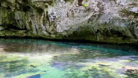 The lake in the cave, cenotes Mexico, the cry of birds, the noise of the wind Stock Footage 80255359