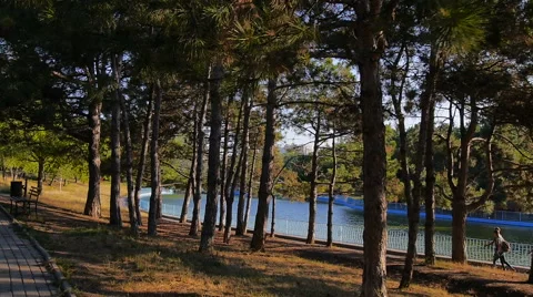 Lake in the Central Park Stock Footage 68572196
