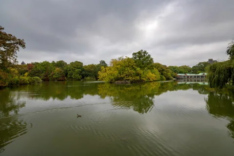 The Lake Central Park Stock Footage 142272395