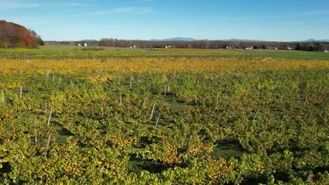 Lake Champlain in Vermont 2 Stock Footage 220369435