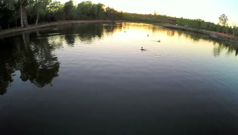 Lake Chasing Ducks Stock Footage 48621838