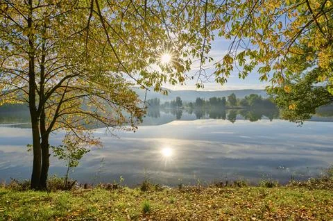 Lake cherry tree reflection sky clouds sunrise autumn Freudenberg Odenwald Stock Photos