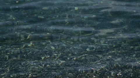 Lake clear water Stock Footage 45549954