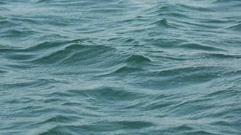 Lake close up 2 Stock Footage 317337999