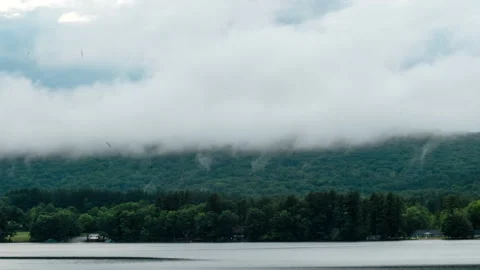 Lake cloud fog forest time lapse (4k) Stock Footage 132777413