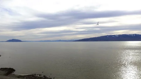 Lake on a cloudy day Video stock 63357152